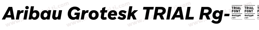 Aribau Grotesk TRIAL Rg字体转换